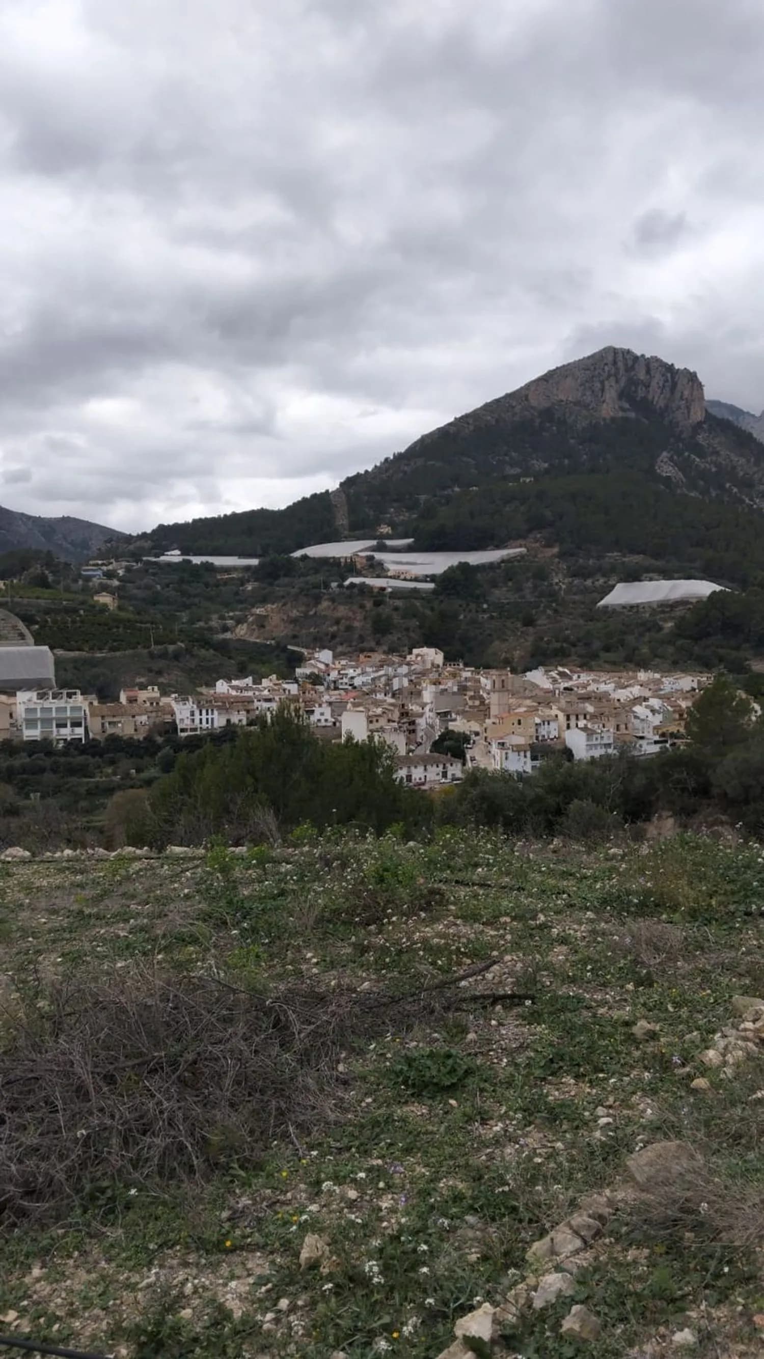 Terreno en venta en Bolulla