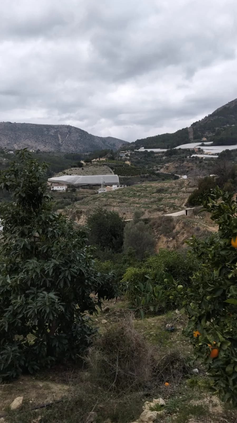 TERRENO EN BOLULLA DE 2200m2