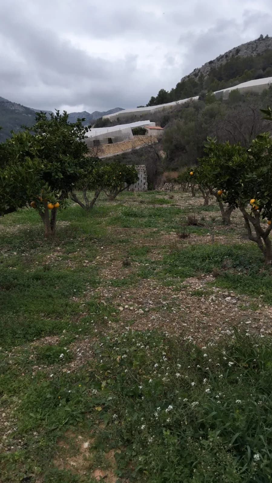 TERRENO EN BOLULLA DE 2200m2